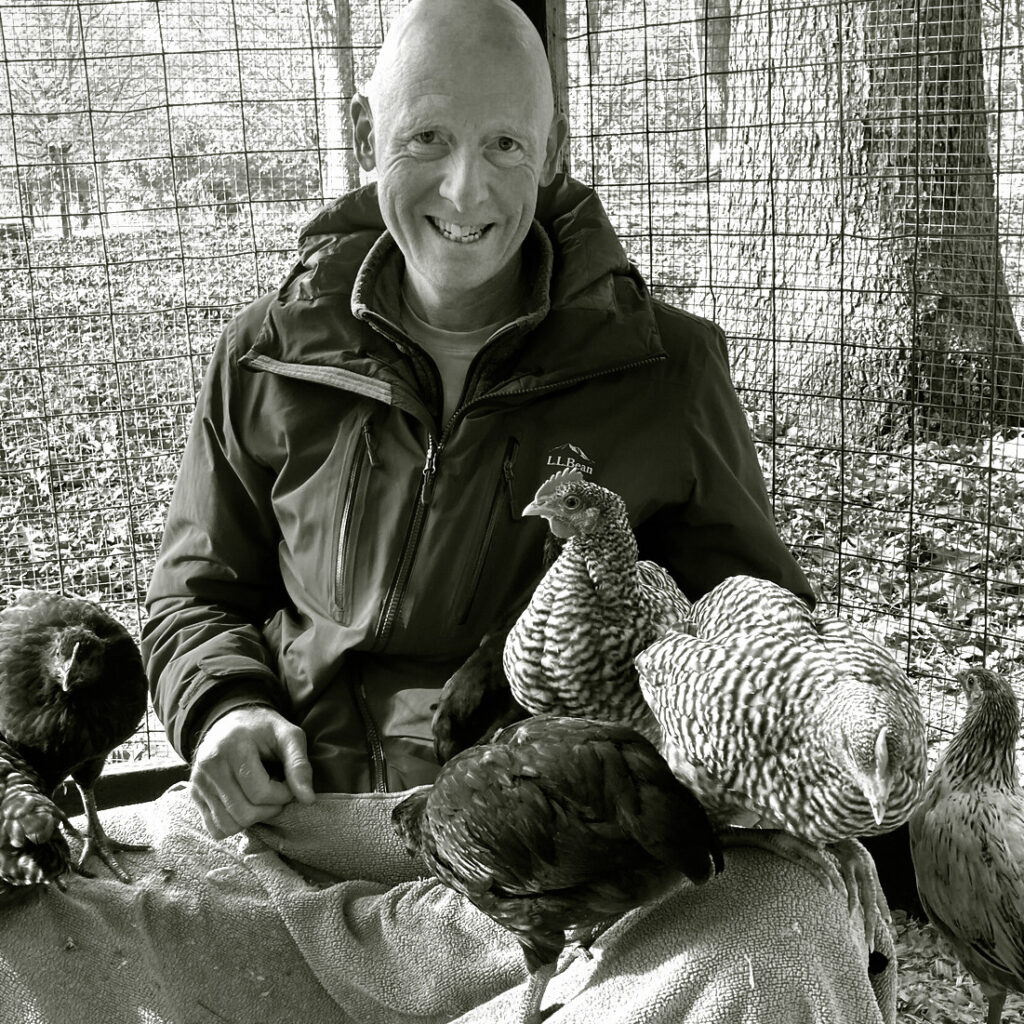 Peter Morville in the hen house with chickens