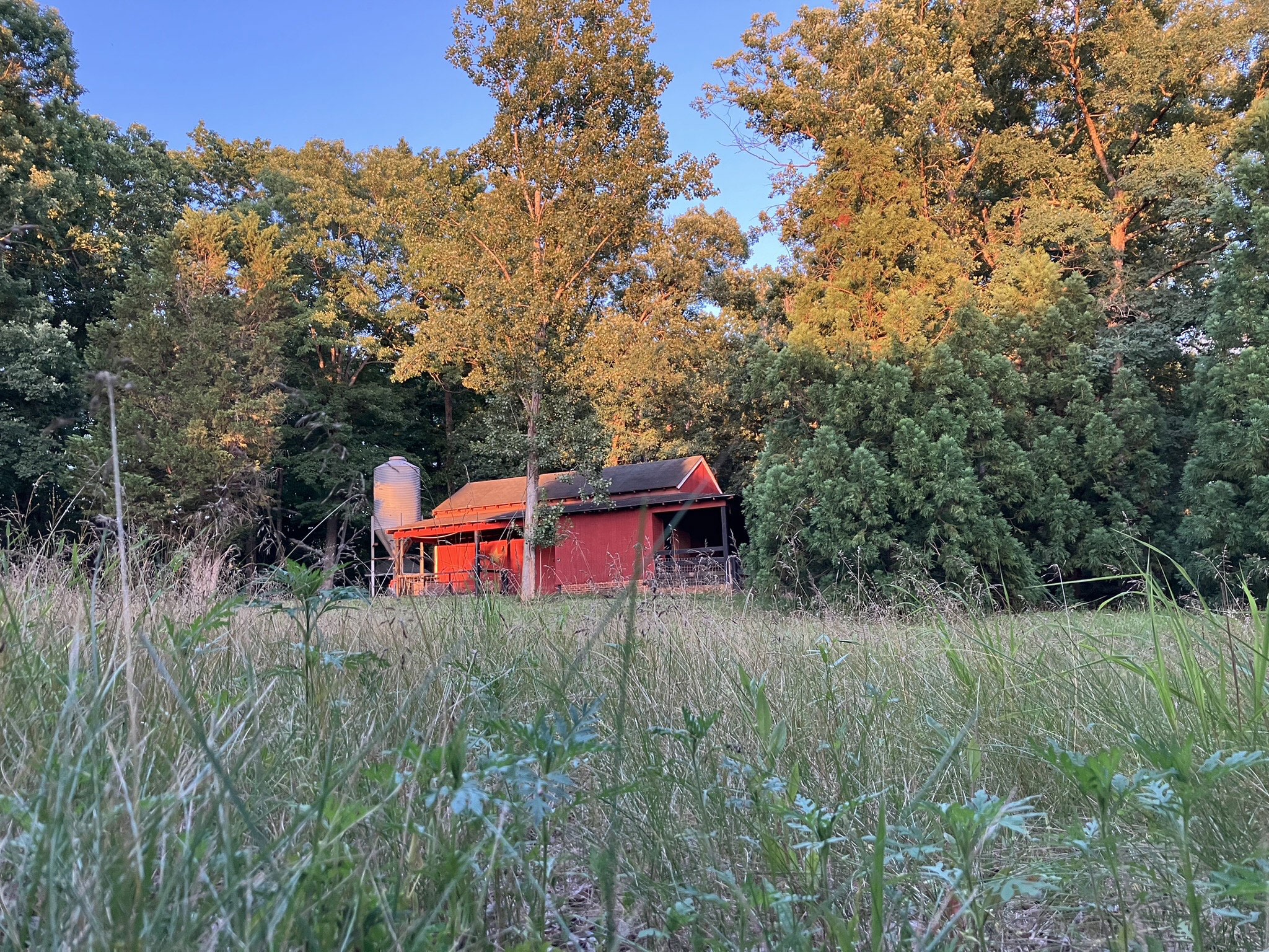 red barn with autumnal trees